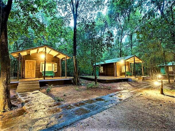 3ngc8izn0shdrbk26ub2d7d3hy06 1 99%20(1)