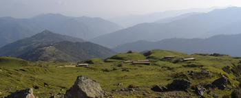 3nhpghialbgosg33hsz4nnwin8un downpic.cc image233815473