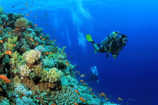 Scuba Diving In Phuket Image