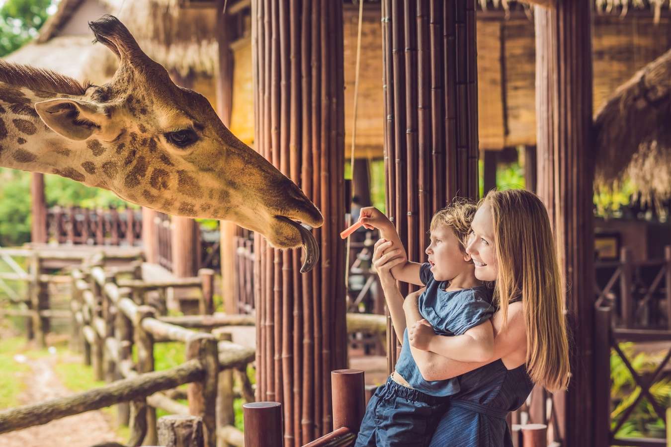Spend some fun time with your folks at the ZSL London Zoo