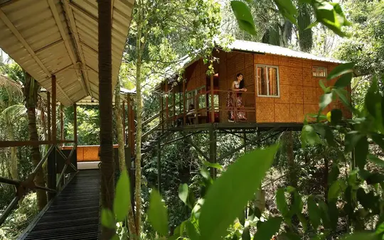 Coffee County Resort Wayanad Image