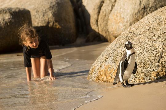 South Africa Fully Loaded Family Holiday Image