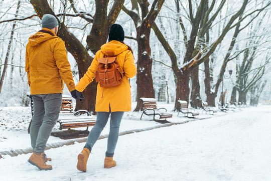 EXCLUSIVE Shimla Kullu Manali | DEAL from Kolkata Image