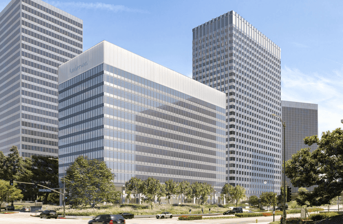 Avenue of Stars Los Angeles