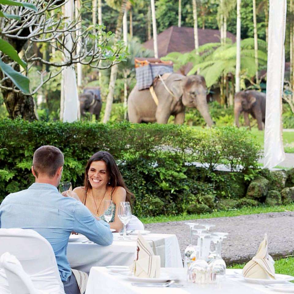 Mountain Cycling and Elephant Safari  Image