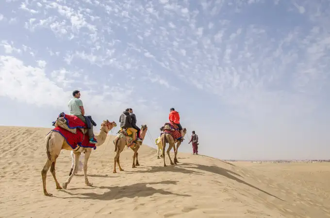 Go for a half day camel safari in Bikaner
