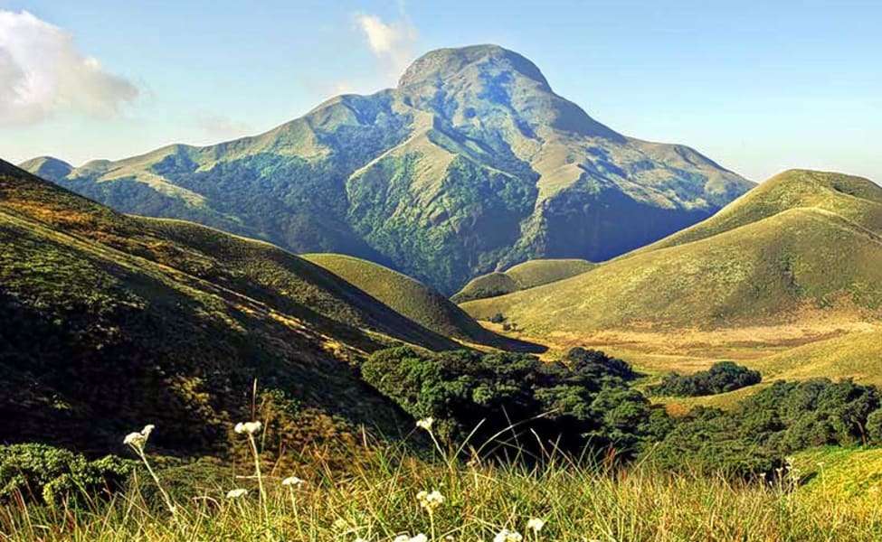 Waterfall Sightseeing Tour in Munnar Image