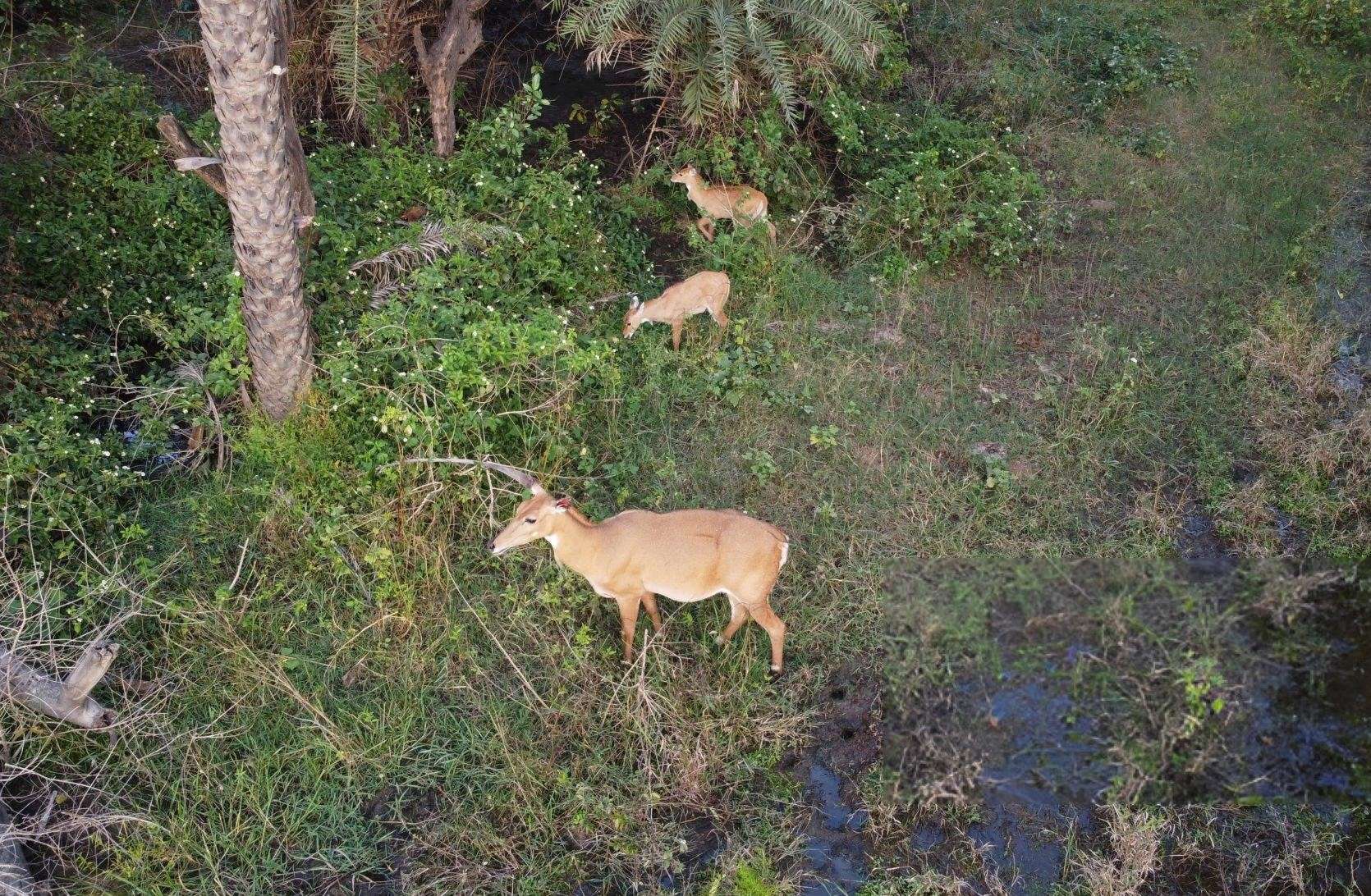 Kumbhalgarh Sightseeing Package Image