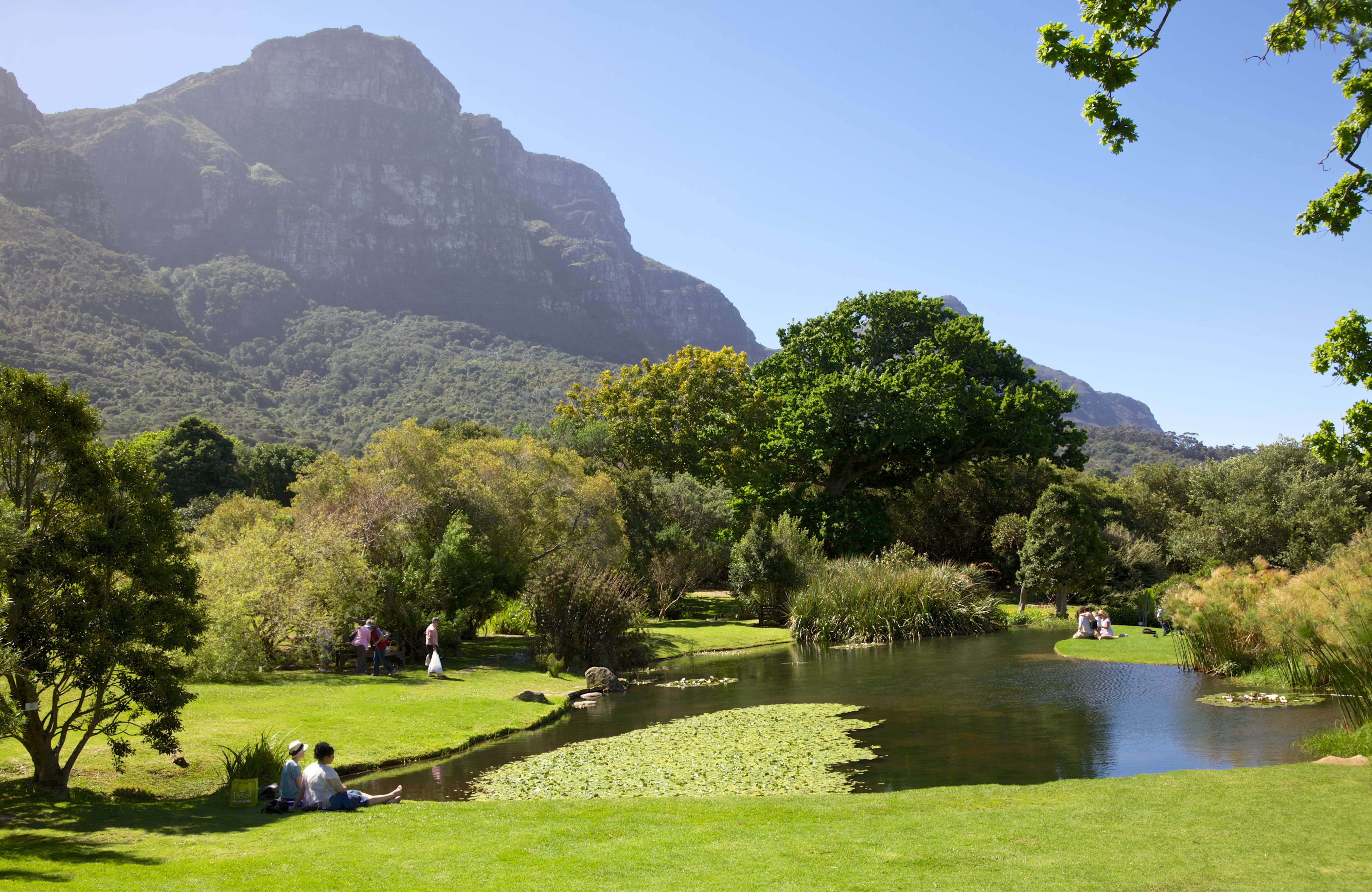 Visit the famous Kirstenbosch National Botanical Garden in Cape Town