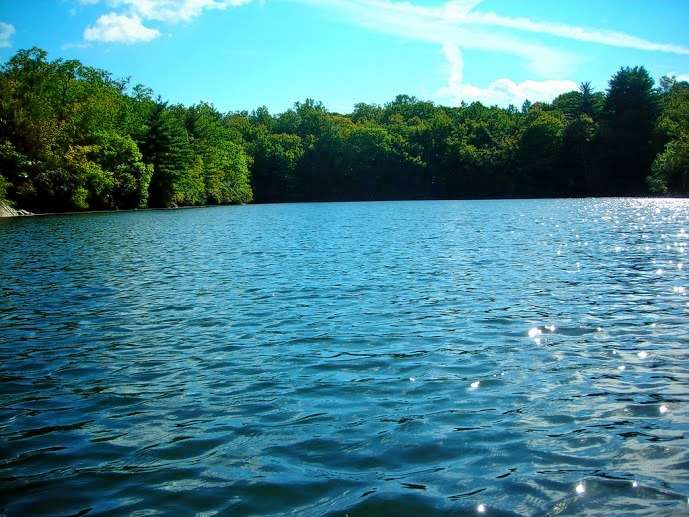 Sailing At Bambolim In Goa Image