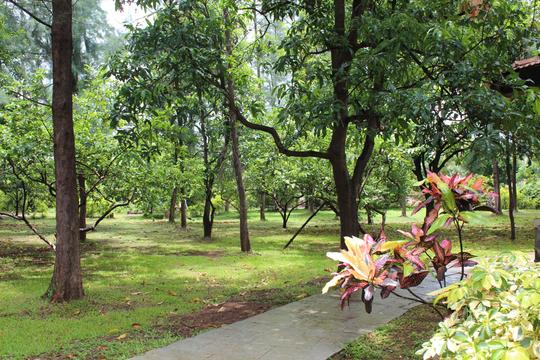 Day Out At Pinewood Resort, Mumbai  Image