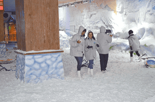 448ico69ohf8tzvyzwitueouycga 2