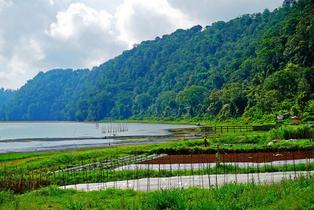 44giqjq3tr7sj6xu2m12eclytvxz kintamani organic farm shutterstock 642463096