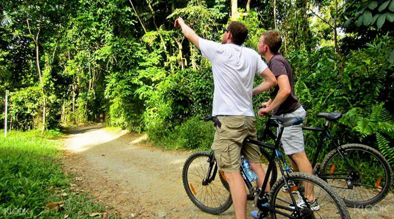 Pulau Ubin Bicycle Rental Image