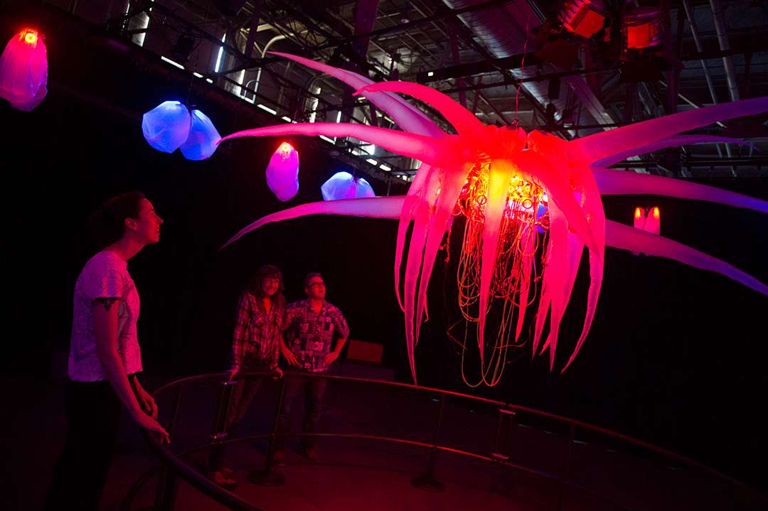 Exploratorium Tickets Image