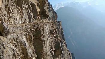 46xg0sfiky902tuk4fzwqrnlig86 1548673106 suicide point