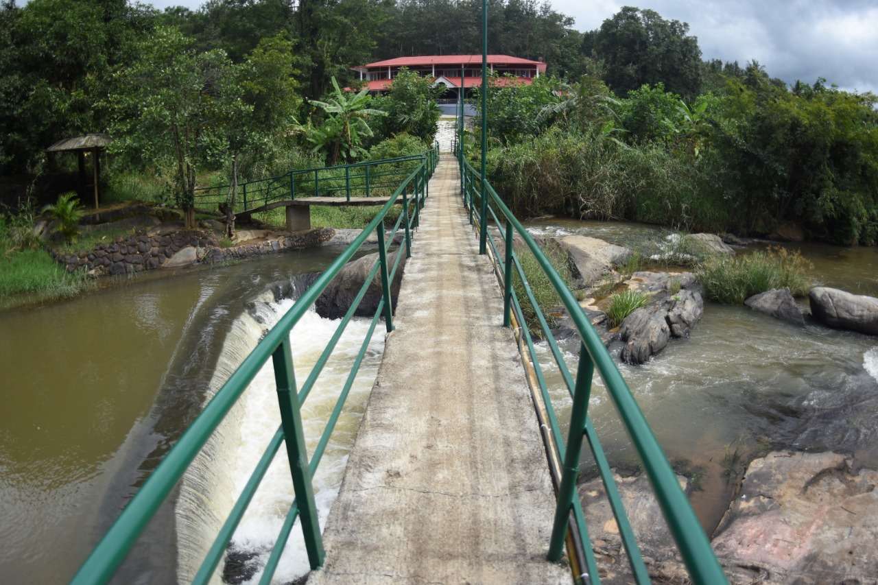 A Peaceful Homestay Amidst Coffee Plantations in Coorg Image