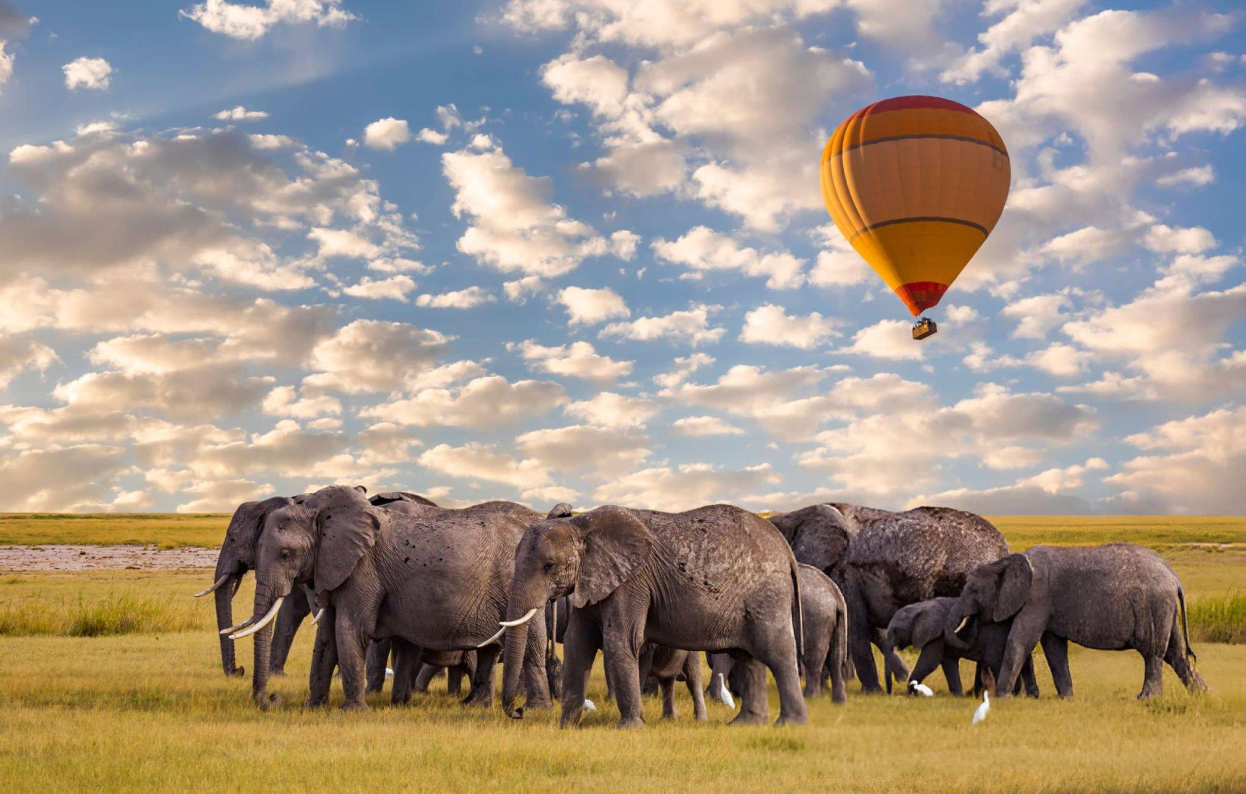 Elephants in Masai Mara