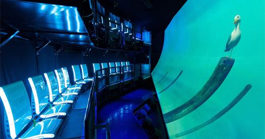 The Flyer San Francisco Tickets Image