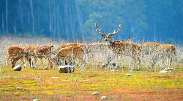 4a746urfl162x3y163vh8u248whk 1589979463 shutterstock 571317004