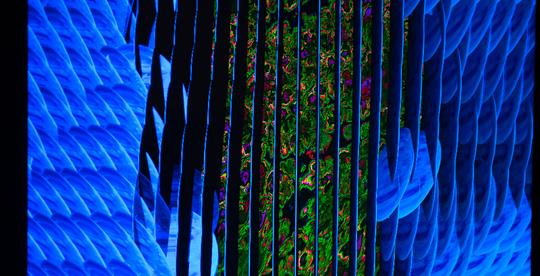 WNDR Museum Tickets Image