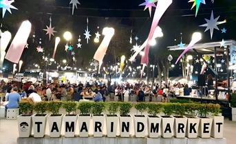 4cykaux2fux56atpjouw05pp11cq pixelcut export%20(6)