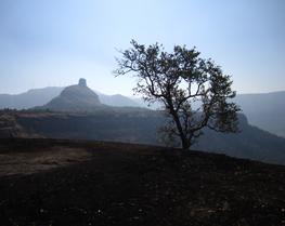 4de5cqg521os51zr1aegp0tqzbtn 7043931971 3c16aea772 o