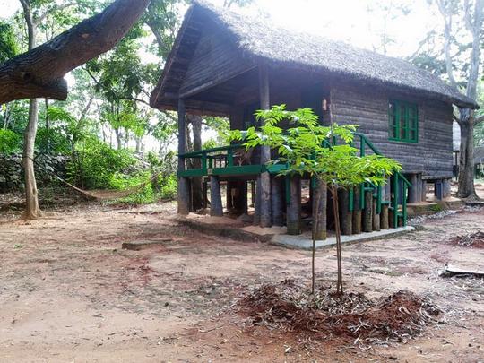 Bannerghatta Nature Camp Image