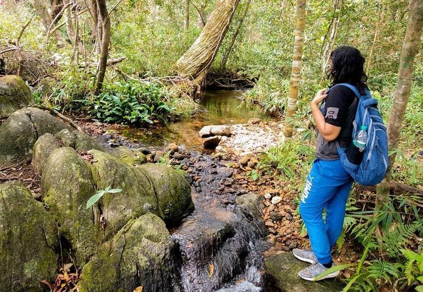 Brahmagiri Trek Image