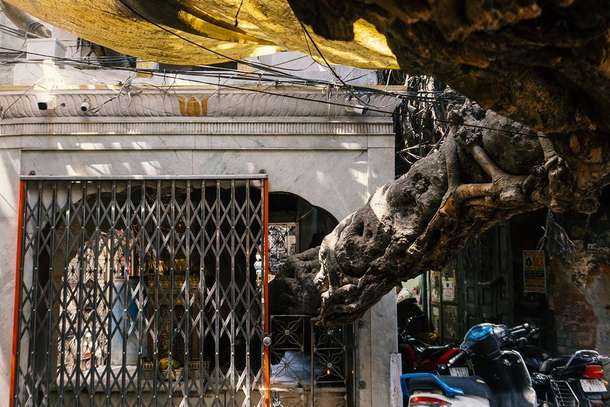 4h37xm44ud4m6lw9hzyw264lb4co 1618229382 155 3