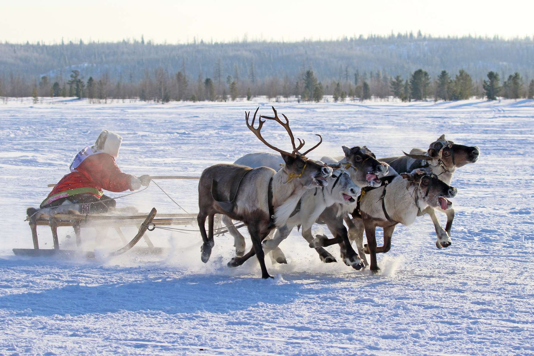 Norwegian Escapade | Northern Lights with Norway in a Nutshell Image