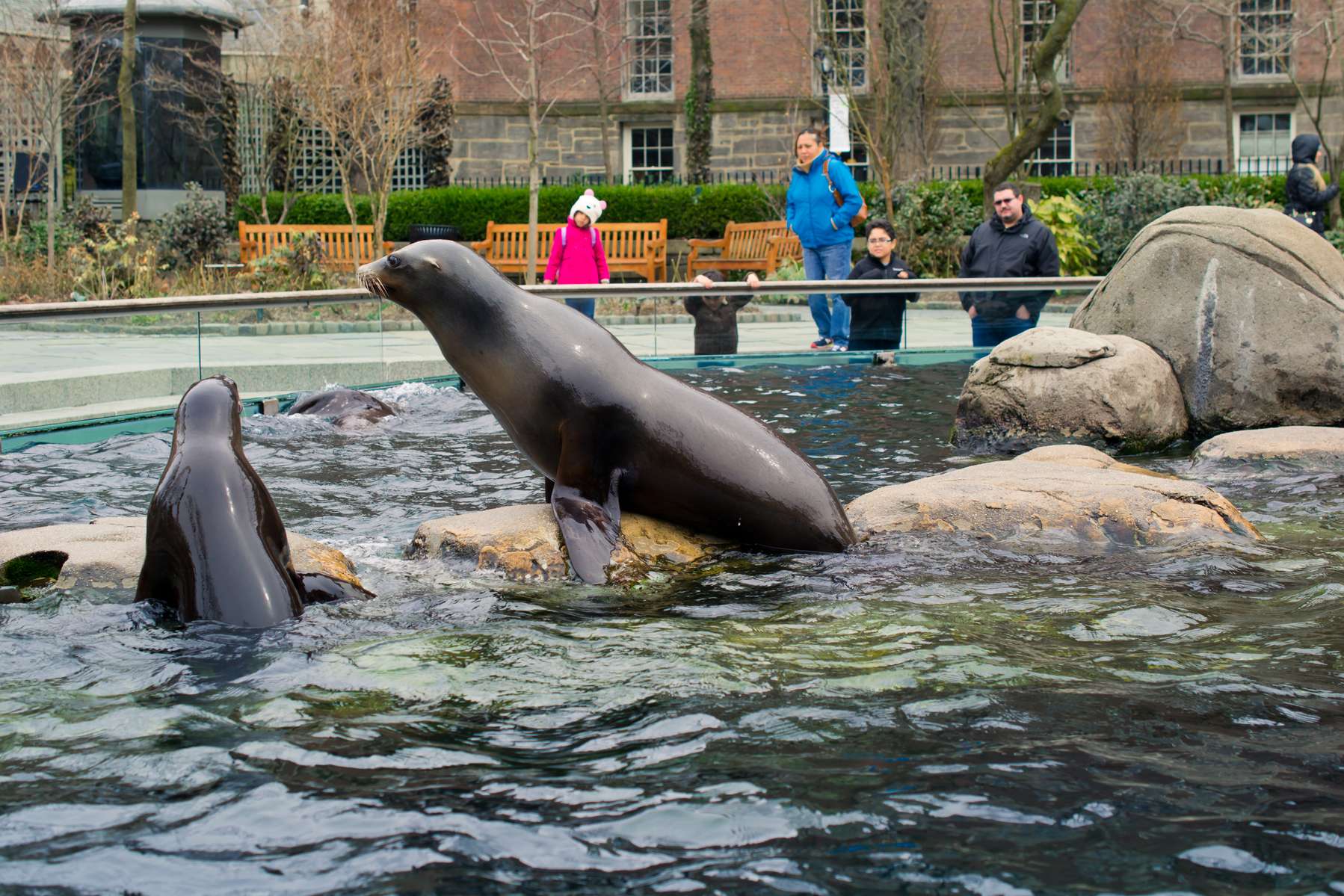 New York Aquarium Tickets  Image