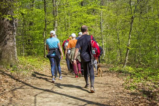 4k79co0l4bc4knipg42kx65fec93 1585912553 img 20200403 wa0020