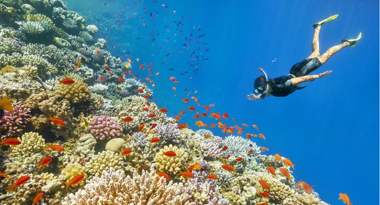 Blue Bay Marine Park