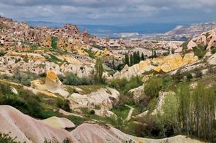 4lcufeidq620nzr9d9vex0t3zvlv steptodown.com407362