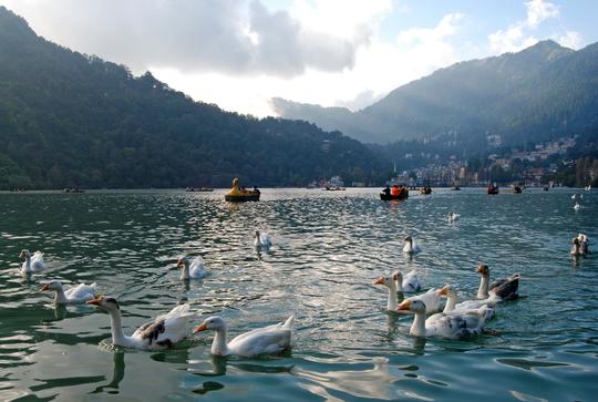 Nainital and Jim Corbett Tour from Delhi Image