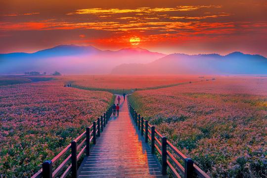 Exciting South Korea In 9 Days Image