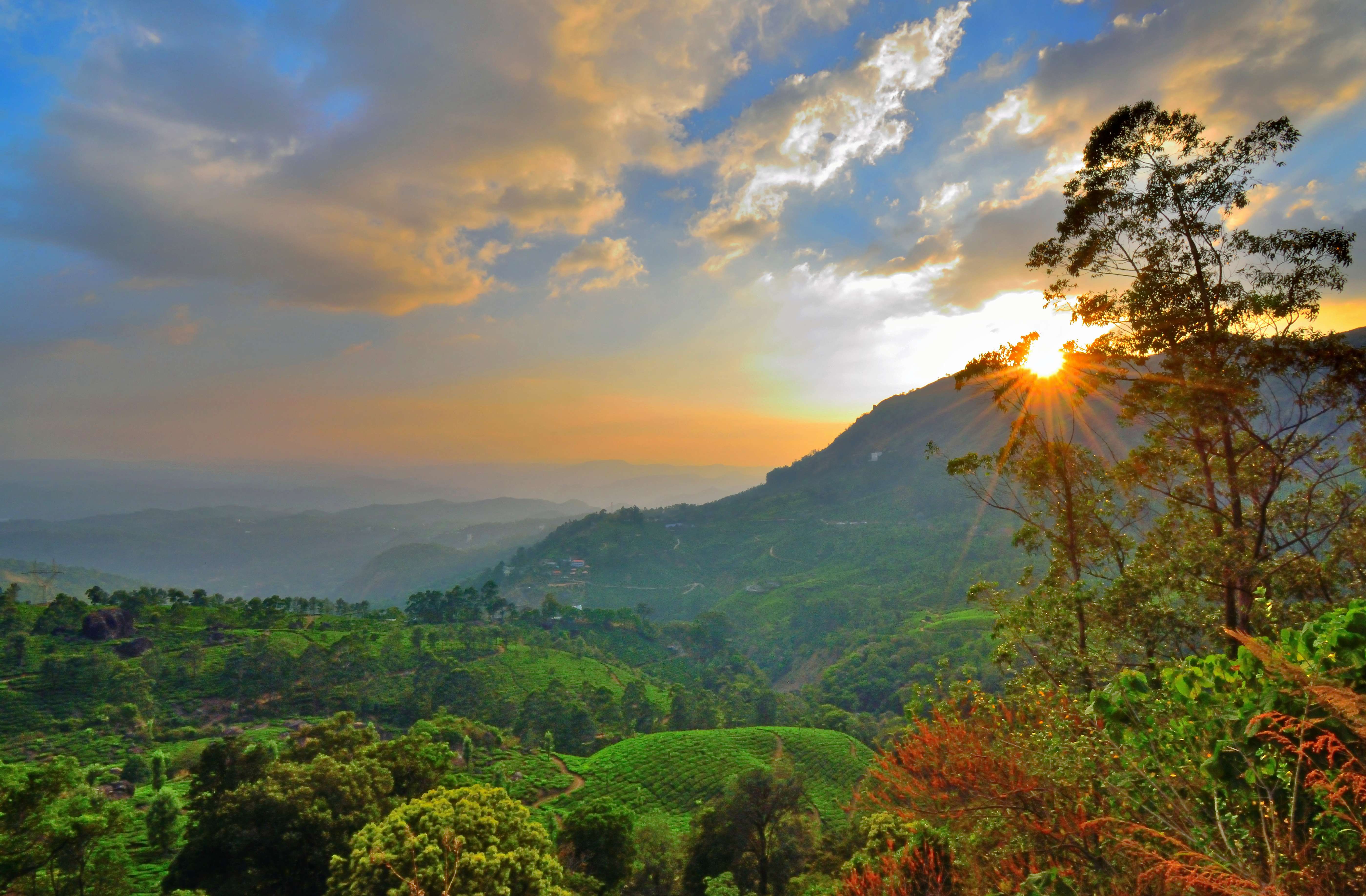 Plantation Sightseeing Tour in Munnar