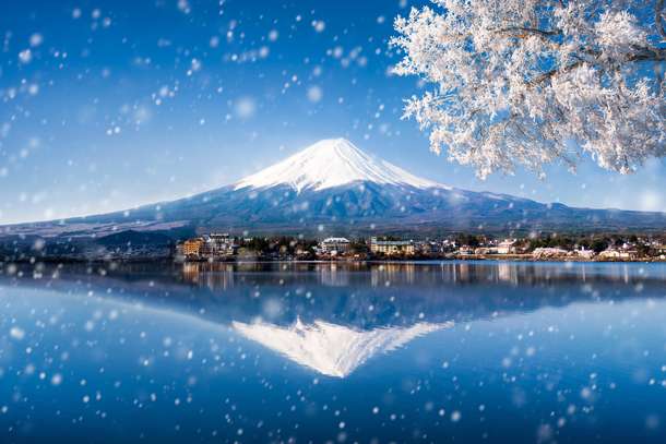 4nwrk7s9bh4ma6ssrrxzfprtu2mp shutterstock 1927230872 min