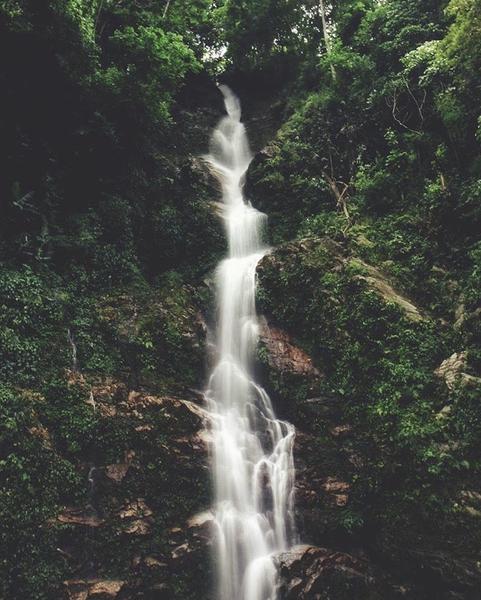 4 Days Short Tour to Pelling Image