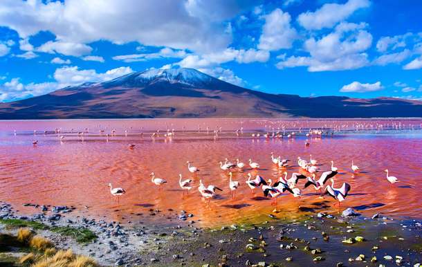 4t2his8hsp81yo7j52a0ucx97m68 dl.beatsnoop.com final oayajtyts1