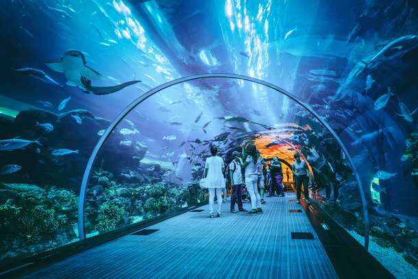 Underwater tunnel offers a 270-degree view 