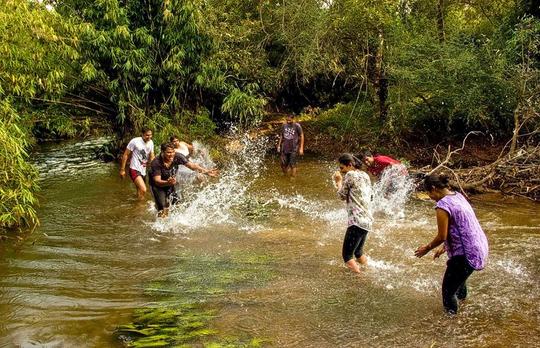 Camping in Gonikoppa in Coorg Image