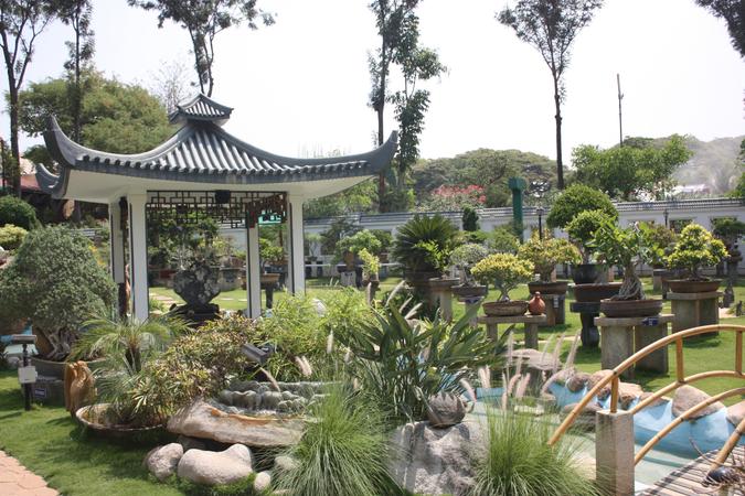 Kishkindha Moolika Bonsai Garden