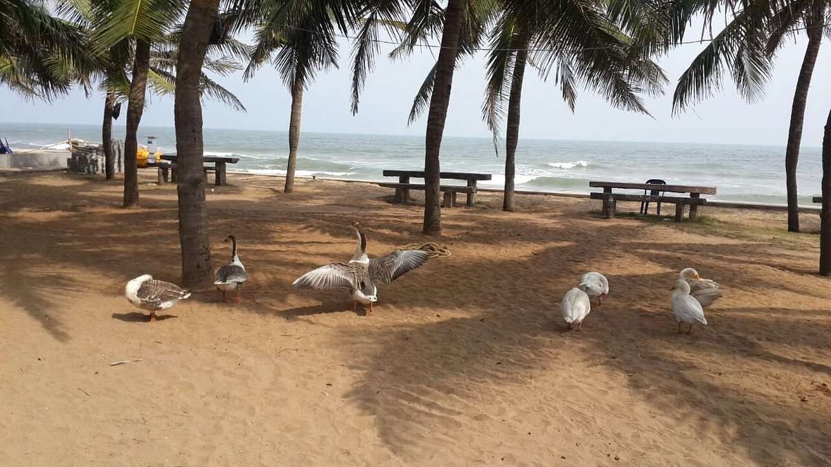 Mamalla Beach Resort Image