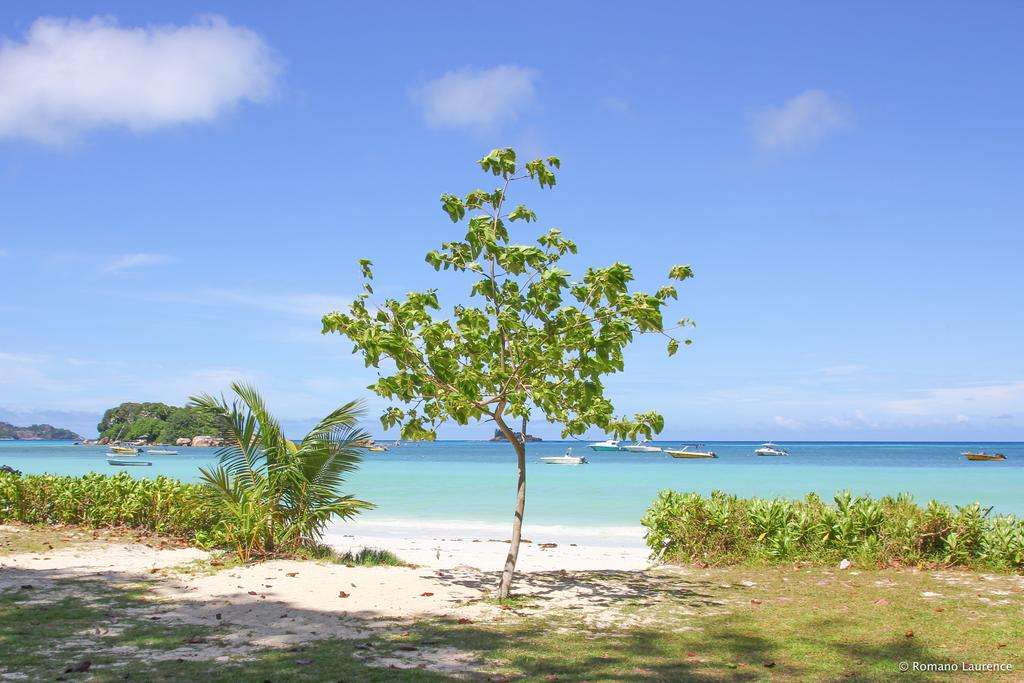 Pirogue Lodge Seychelles  Image