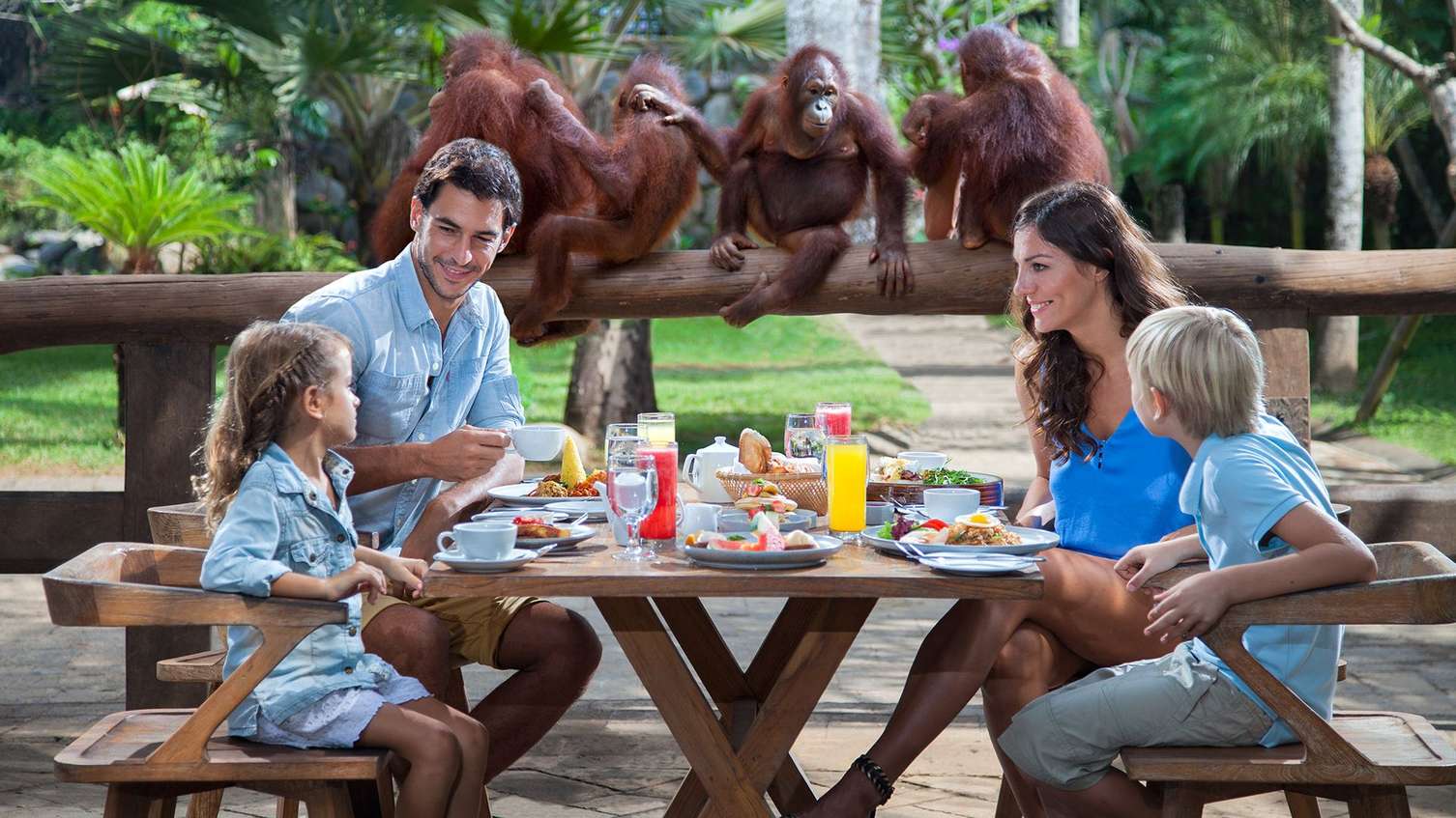 Breakfast with Orangutans at Bali Zoo