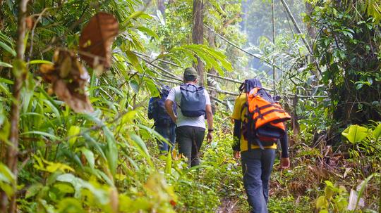 Phulara Ridge Trek Image