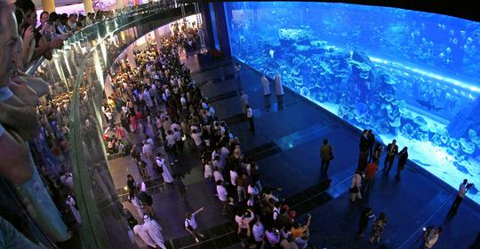 Dubai Aquarium & Underwater Zoo Tickets Image