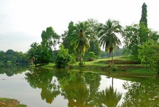 51lqk2w64gu4g2s1roxxrjurlohy 1579522209 gg